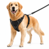 dog chest harness / belt harness dog chest harness / belt harness