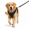 dog chest harness / belt harness dog chest harness / belt harness