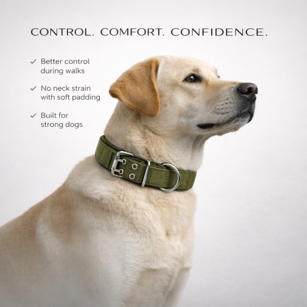 soft padded double pin tactical collar