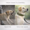 soft padded double pin tactical collar