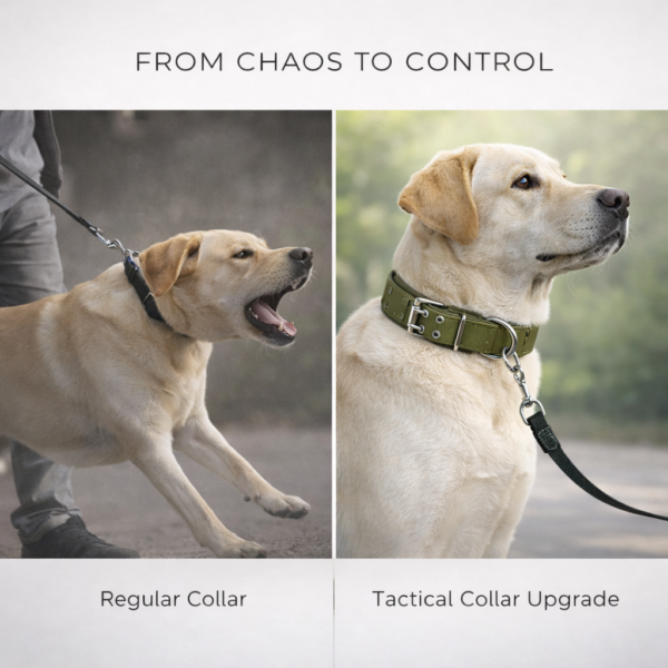 soft padded double pin tactical collar