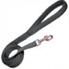dog padded leash