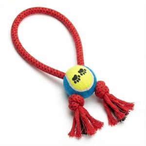 71sf77tcbzl. sx679 1.jpg