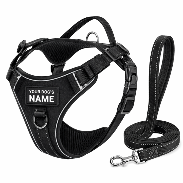 dog chest harness / belt harness dog chest harness / belt harness