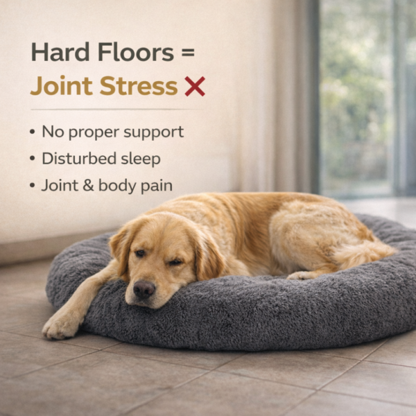 soft & washable pet bed for dogs & cats (m size) | round cushioned dog sleeping bed with raised edges | comfortable, lightweight & durable pet bed for pets