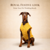 dog sherwani kurta