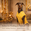 dog sherwani kurta