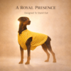 dog sherwani kurta