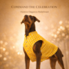 dog sherwani kurta