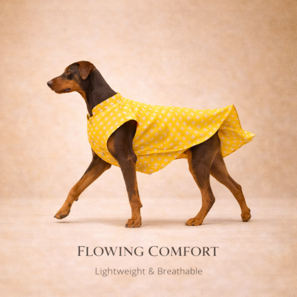 dog sherwani kurta