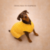 dog sherwani kurta