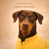 dog sherwani kurta