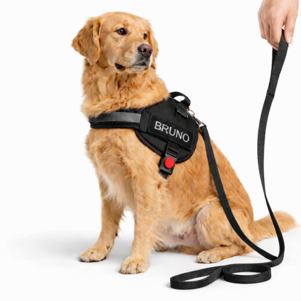 dog vest harness