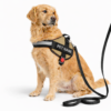 dog vest harness
