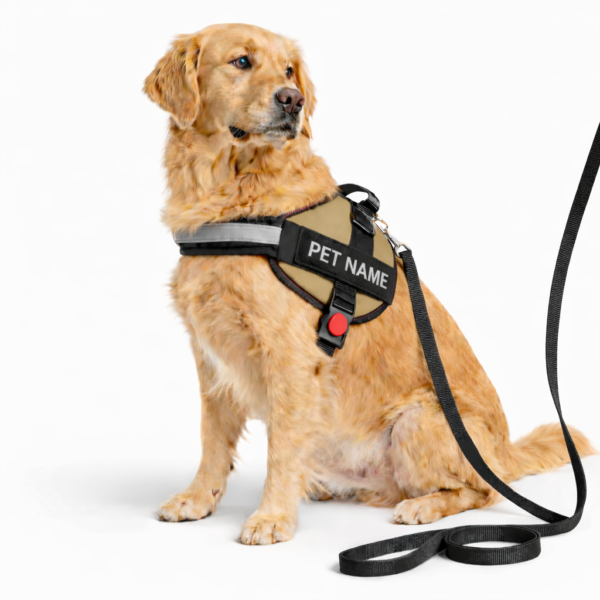 dog vest harness