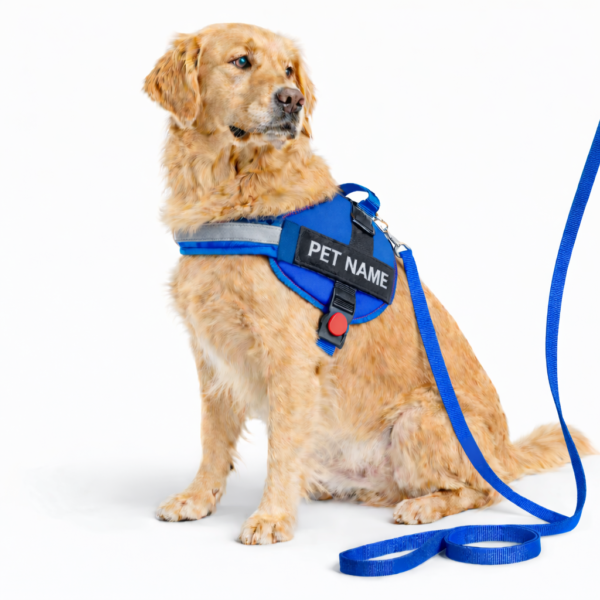 dog vest harness
