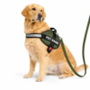 dog vest harness