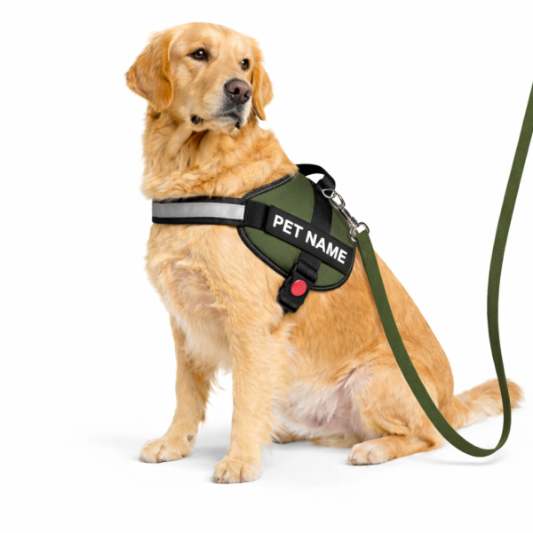 dog vest harness