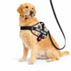 dog vest harness