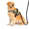 dog vest harness