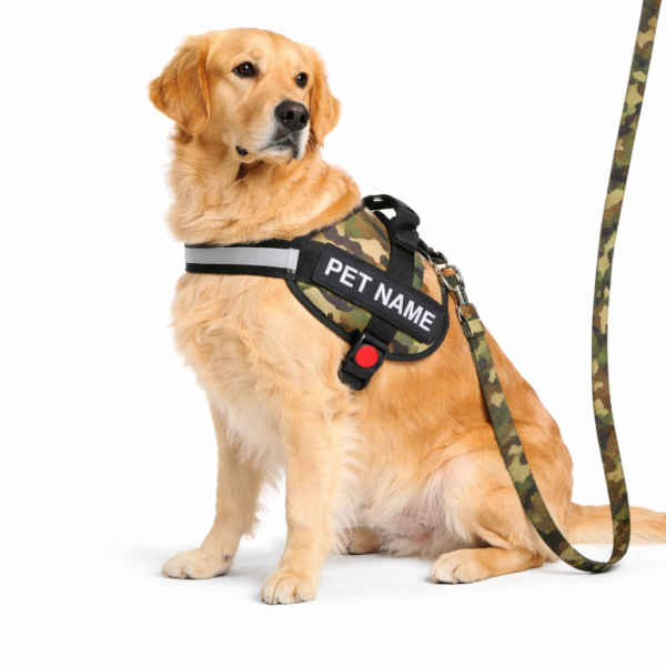 dog vest harness