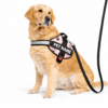 dog vest harness
