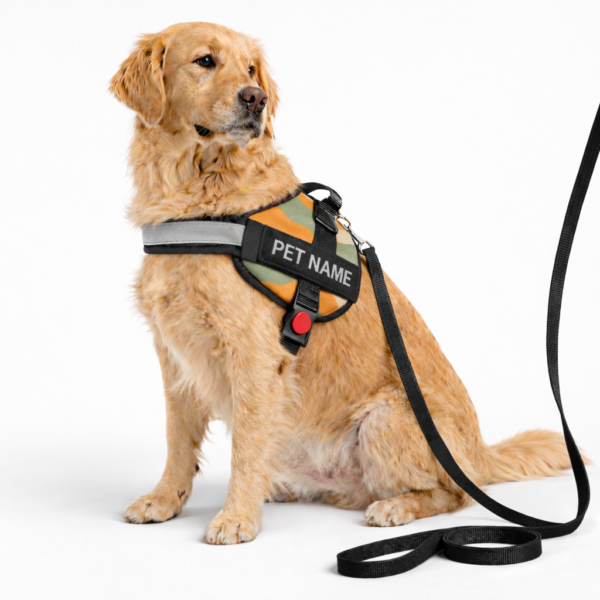 dog vest harness