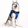 dog body belt harness
