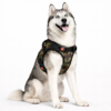 dog body belt harness