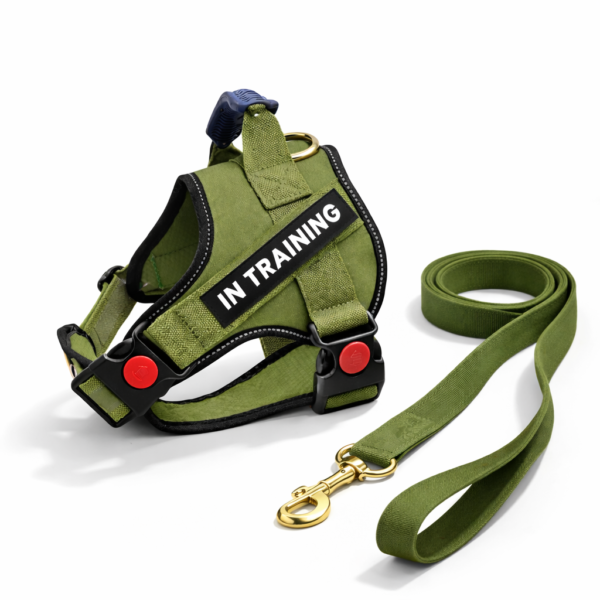dog harness (q type) dog harness (q type)