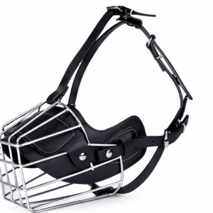 chatgptimagejan7 2026 02 00 19pm.png