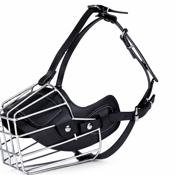 chatgptimagejan7 2026 02 00 19pm.png