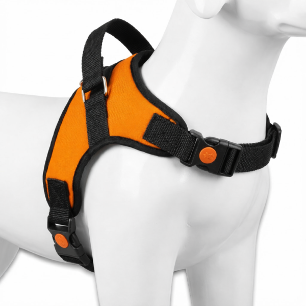 dog body belt harness