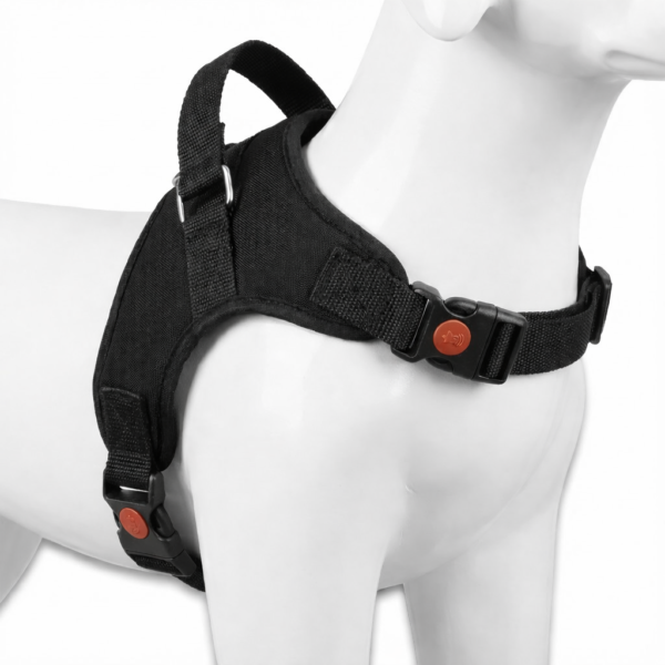 dog body belt harness