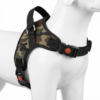 dog body belt harness