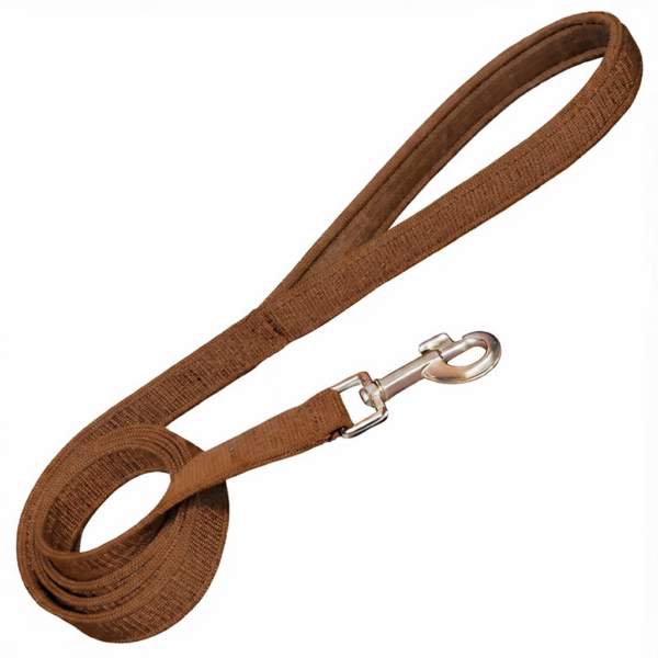 dog padded leash