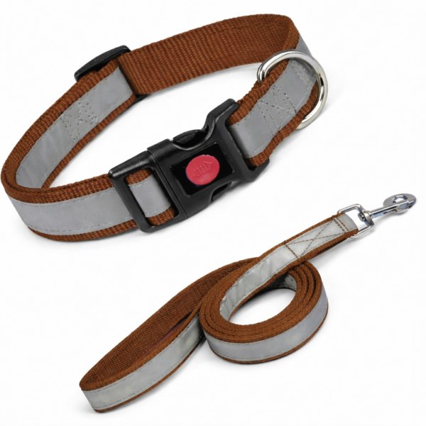 reflective collar & leash button lock set
