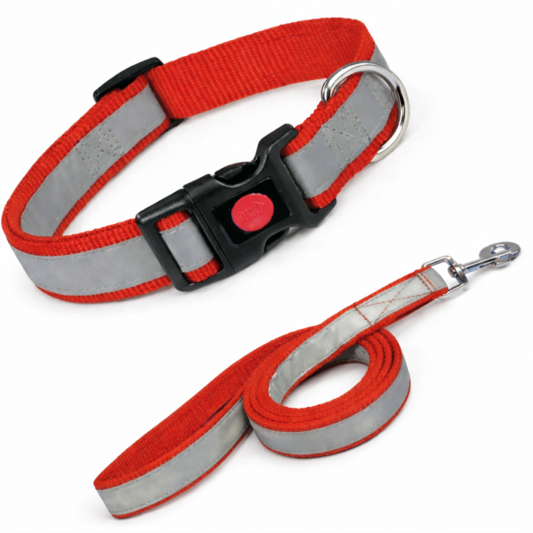 reflective collar & leash button lock set