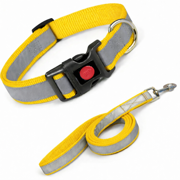 reflective collar & leash button lock set