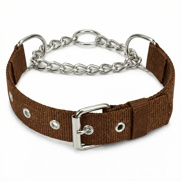 dog choke collar
