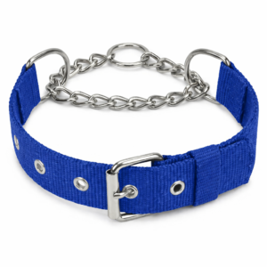 chatgpt image feb 3 2026 03 45 10 pm.png