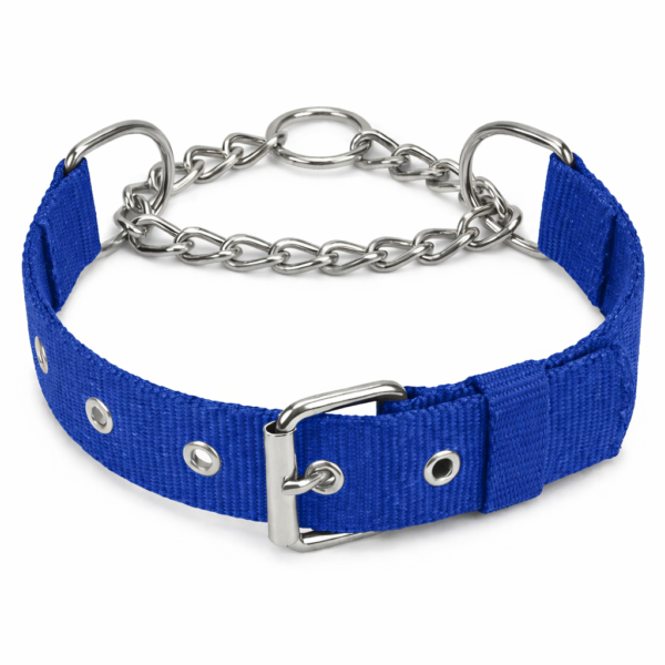 chatgpt image feb 3 2026 03 45 10 pm.png