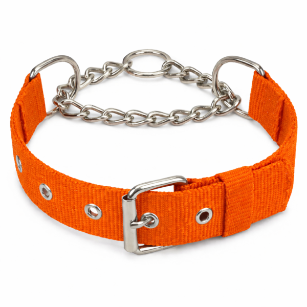 dog choke collar