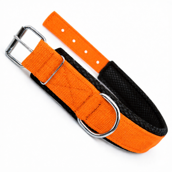 dog soft padded collar dog soft padded collar