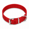plain dog neck collar