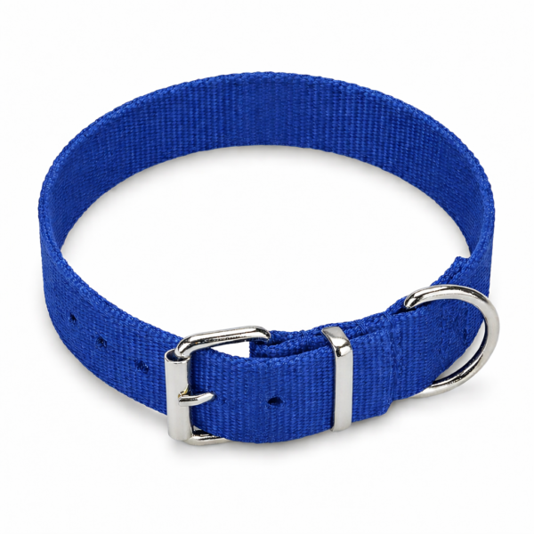 plain dog neck collar