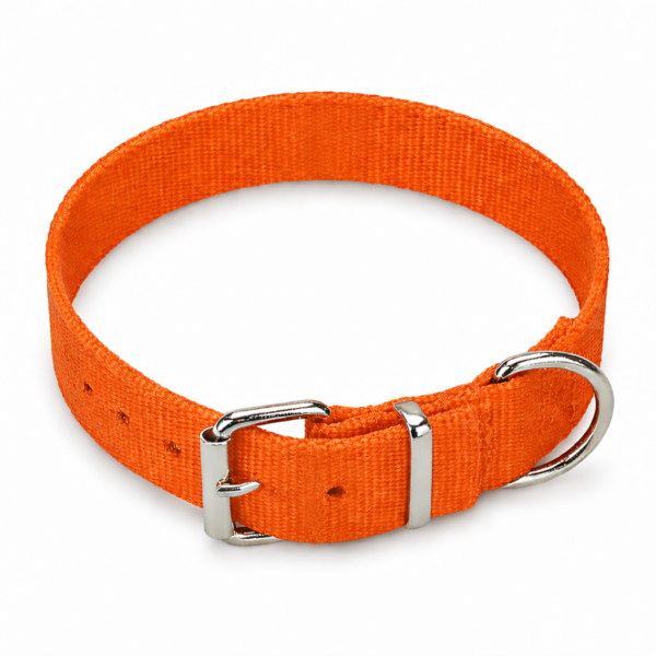 plain dog neck collar