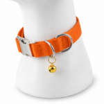 chatgpt image feb 3 2026 12 37 56 pm.png