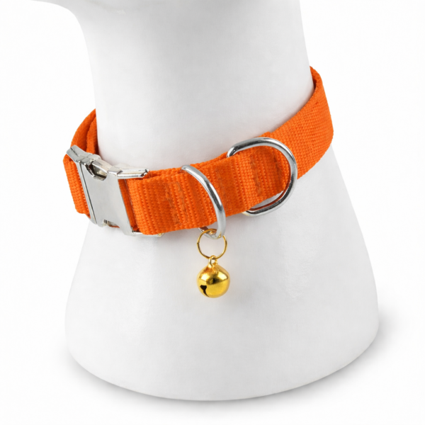 chatgpt image feb 3 2026 12 37 56 pm.png