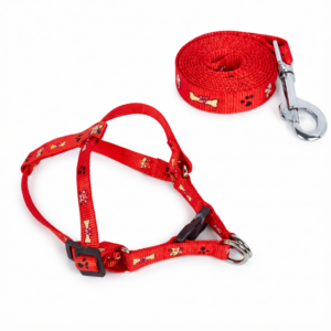 chatgpt image feb 3 2026 12 42 20 pm.png